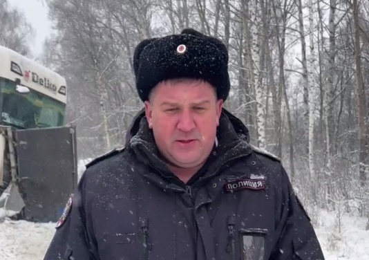 Появились подробности массовой аварии на М-7 в Нижегородской области - фото 1