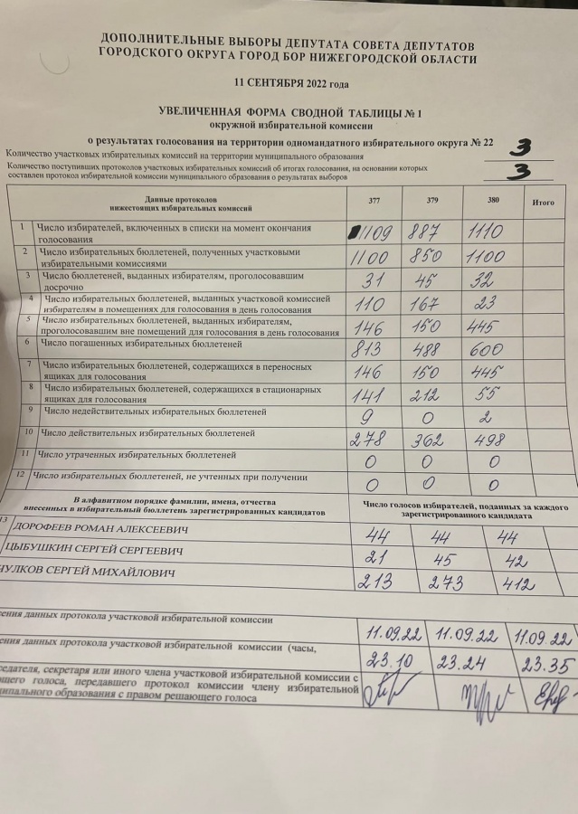Кандидат в борские депутаты подозревает УИК в фальсификации итогов выборов - фото 2