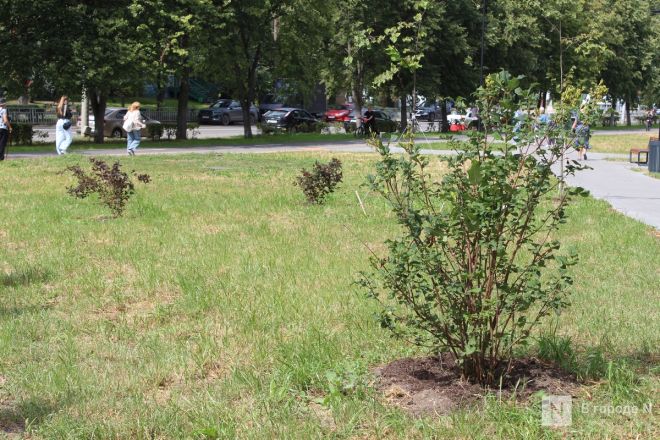 Теннисные столы и велодорожка появились на улице Веденяпина в Нижнем Новгороде - фото 45