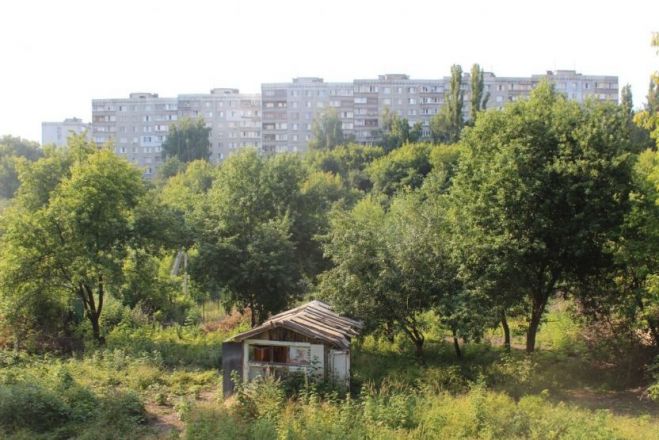 Опубликованы фото оврагов заброшенных участков СНТ в Нижнем Новгороде - фото 9