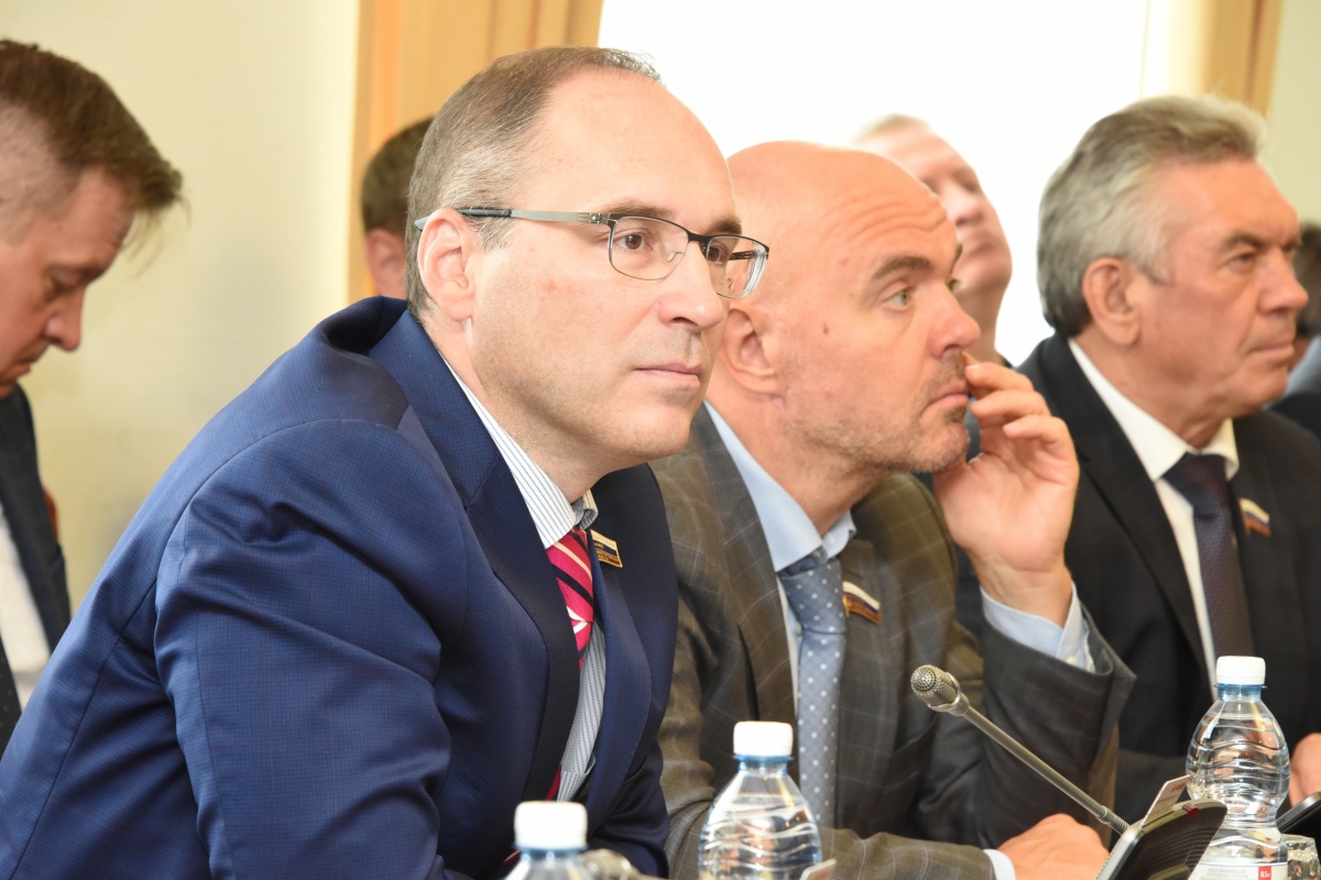 Депутаты расширили перечень видов предпринимательской деятельности, в отношении которых применяется патентная система налогообложения - фото 1