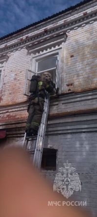 Нижегородские пожарные спасли двух собак из горящей квартиры - фото 5