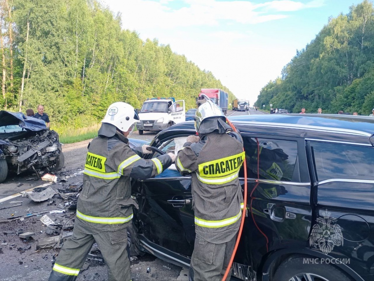 Два человека погибли в жестком ДТП в Нижегородской области - фото 2