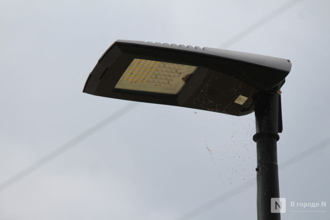 Теннисные столы и велодорожка появились на улице Веденяпина в Нижнем Новгороде - фото 15