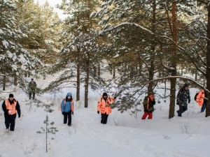Пропавшего на Мещере пенсионера нашли живым