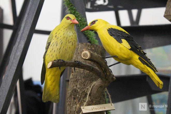 Фоторепортаж: выставка &laquo;АРТ МИР &mdash; 2026&raquo; открылась в Нижнем Новгороде - фото 185