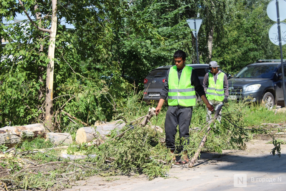 Четвертый день после урагана: борьба с последствиями разгула стихии продолжается в Нижнем Новгороде - фото 13