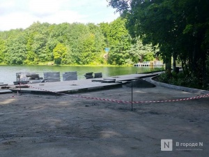 Разобраться с мусором на Щелоковском хуторе поручил Никитин властям Нижнего Новгорода