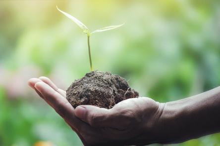 Пять признаков, по которым можно распознать ненастоящие экопродукты