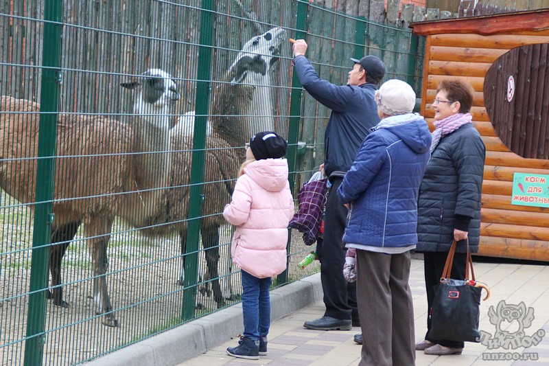 Нижегородцы и их мамы смогут посетить зоопарк по одному билету - фото 1