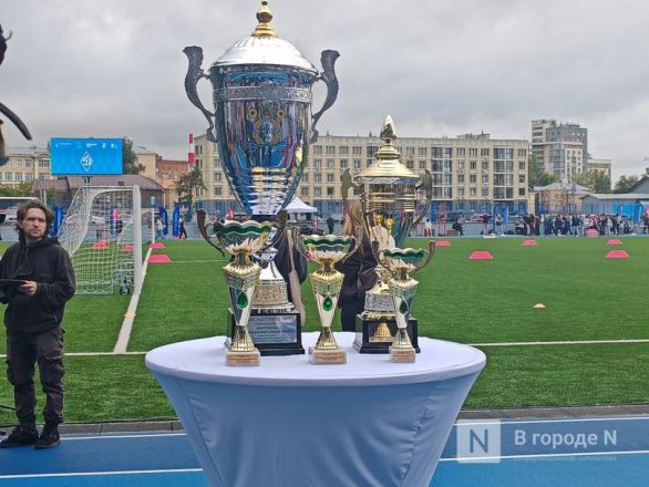 Стадион &laquo;Динамо&raquo; в центре Нижнего Новгорода открыли после реконструкции: фото - фото 23