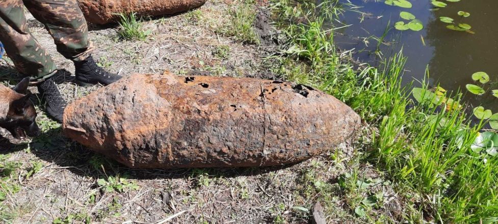 Семь авиационных бомб нашел в реке житель Выксы - фото 2