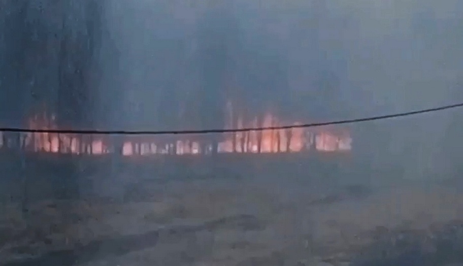 Деревья и трава полыхают в нижегородском ЖК &laquo;Окский берег&raquo; - фото 1