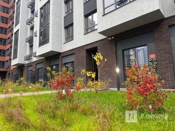 Первый, успешный, долгожданный: как выглядит ЖК от нового застройщика в центре Нижнего Новгорода - фото 9