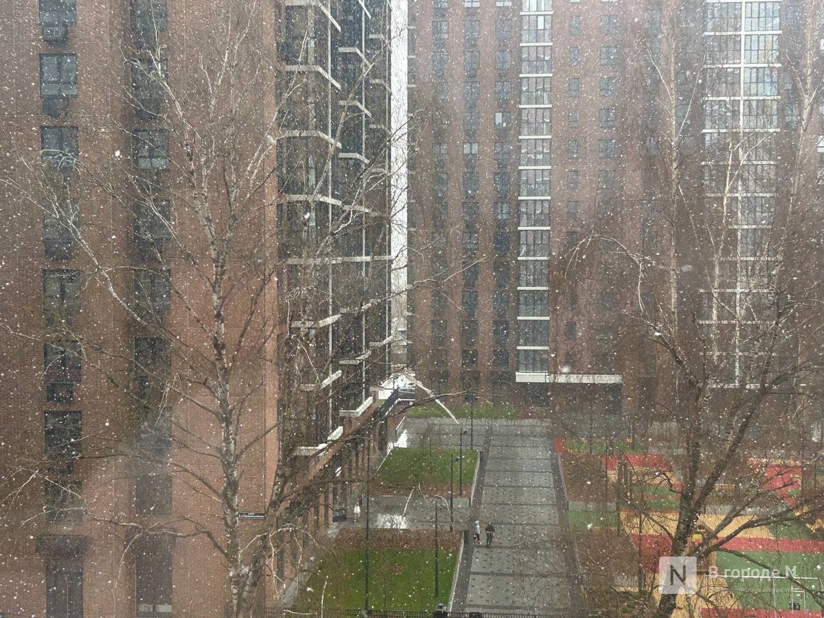 Град и снег выпали в Нижнем Новгороде 25 апреля: фото - фото 4
