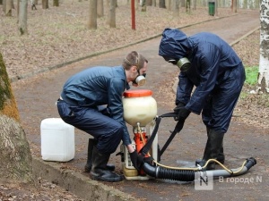 Клещи не пройдут: более 940 га в Нижнем Новгороде обработают от паразитов