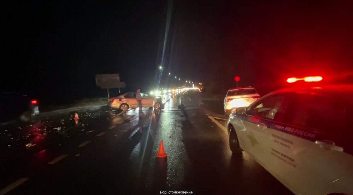 83-летнего водителя госпитализировали после ДТП в Нижегородской области - фото 1