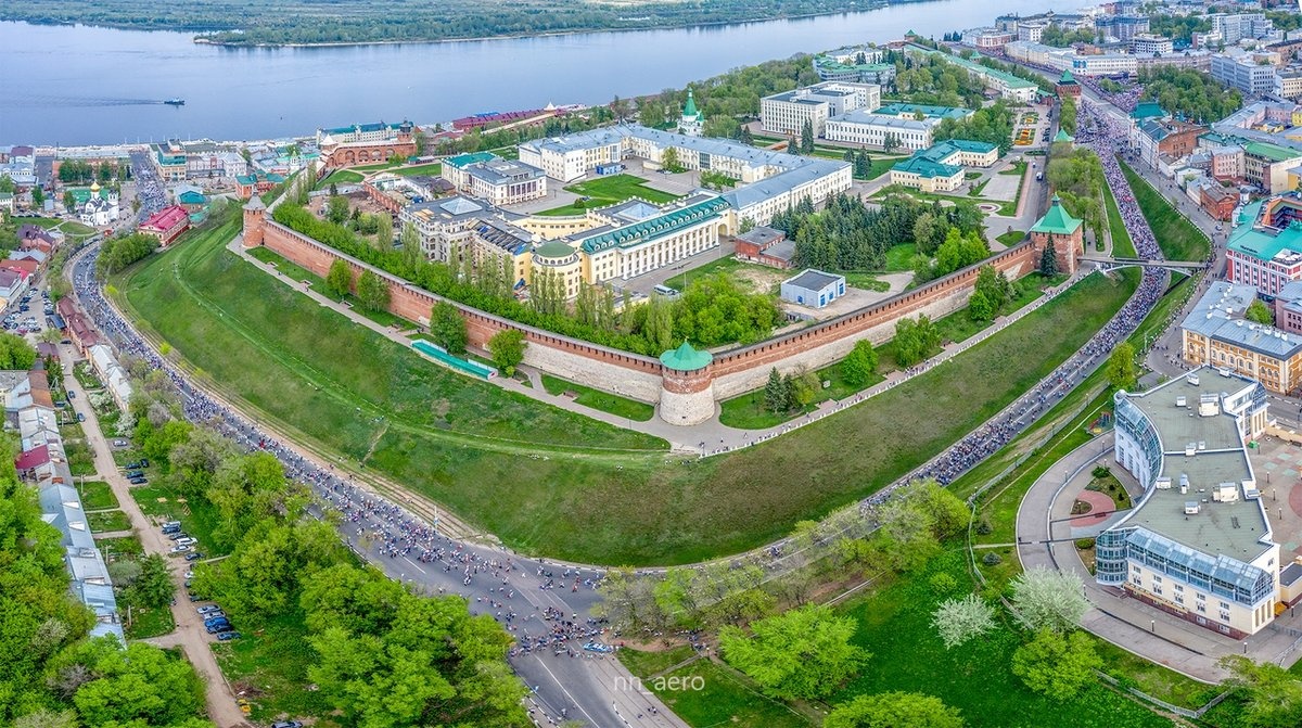 Никитин утвердил состав Регионального совета Нижегородской области