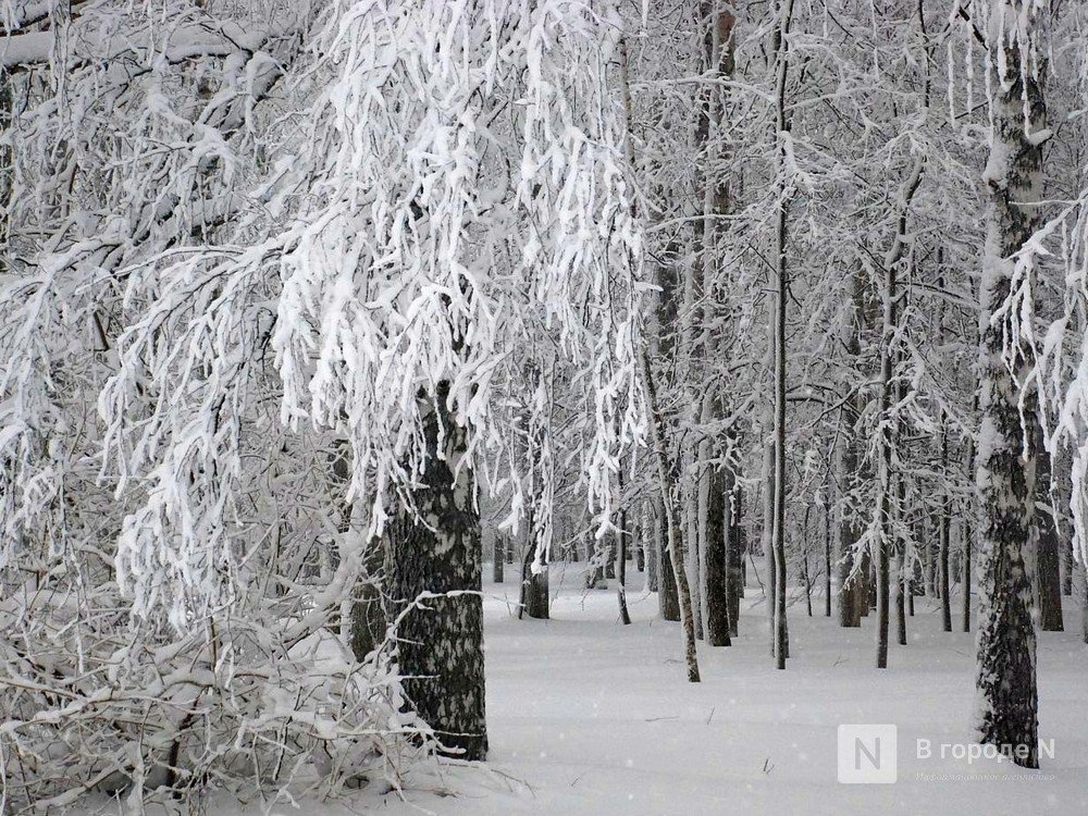 Ветер усилится до 20 метров в секунду в Нижегородской области 2 января