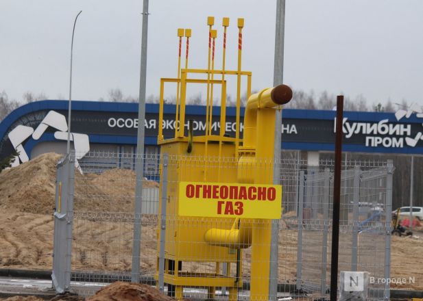 Инфраструктура на госплощадке ОЭЗ «Кулибин» в Дзержинске готова на 70% - фото 3